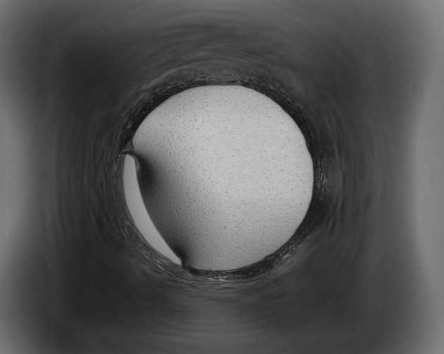 X0000083001490200703020853