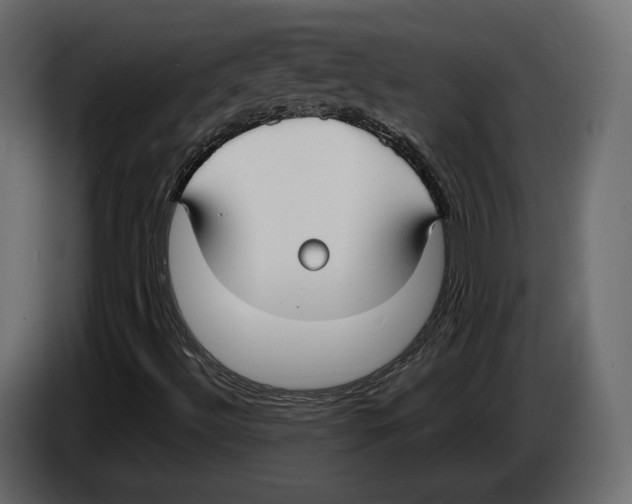 X0000083001492200703020853