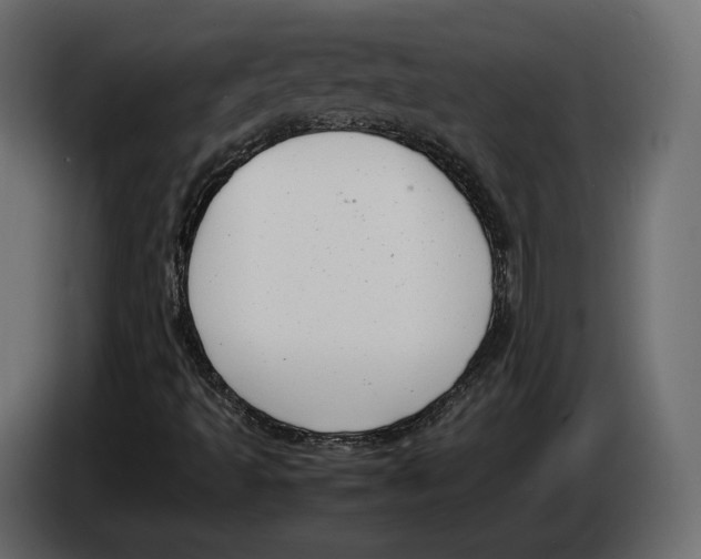 X0000083001493200703020853