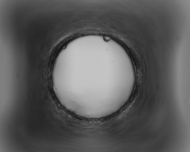 X0000083001494200703020853