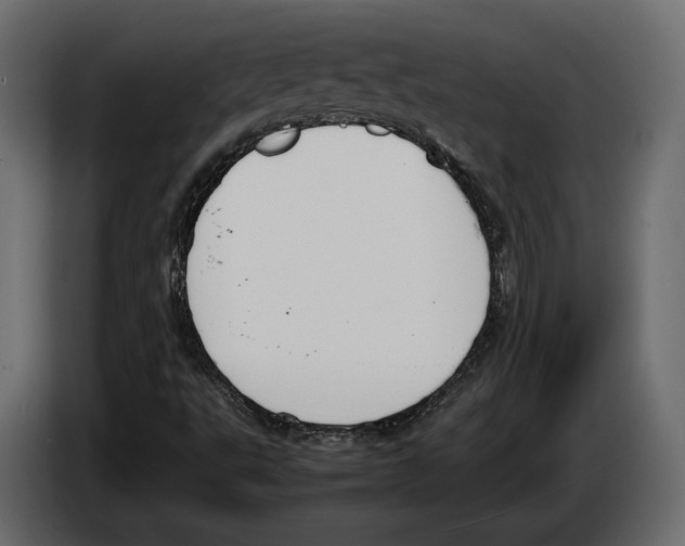 X0000083001495200703020853