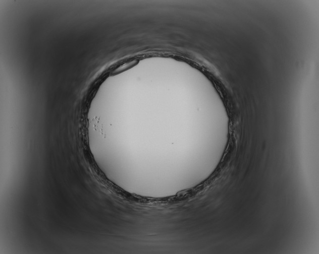 X0000083001496200703020853