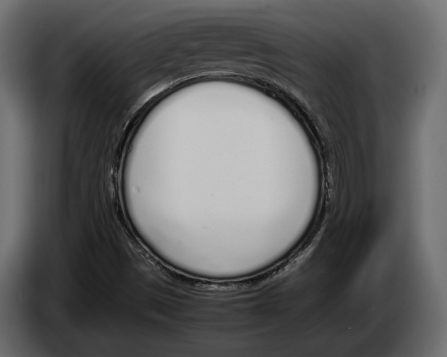 X0000083001497200703020853