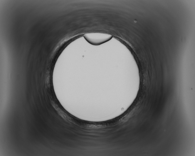 X0000083001499200703020853