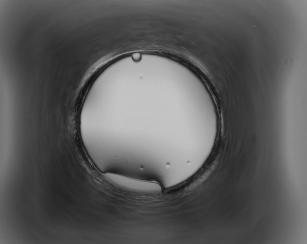 X0000083001501200703020853