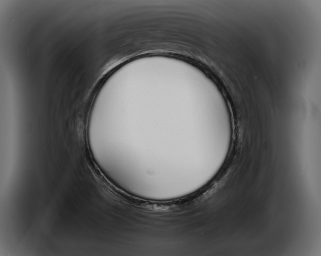 X0000083001505200703020854