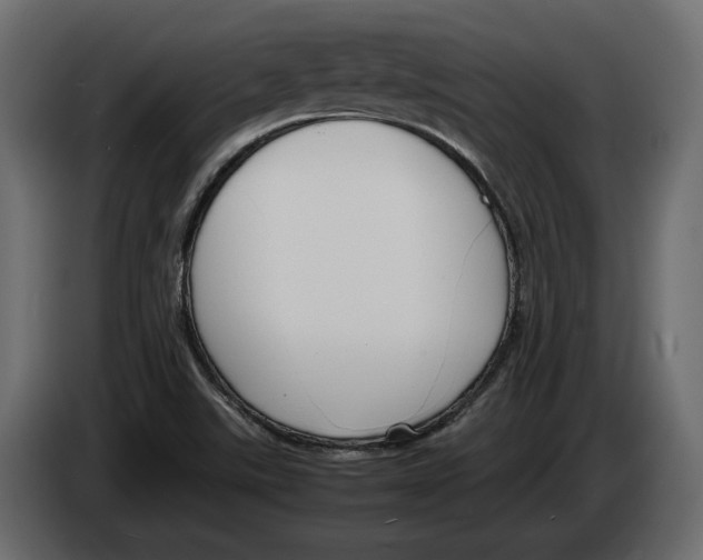 X0000083001507200703020854