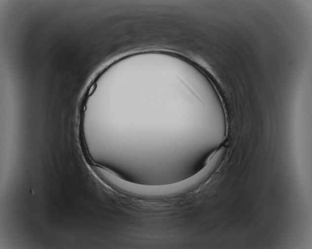 X0000083001508200703020854