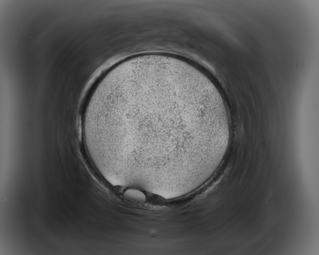 X0000083001509200703020854