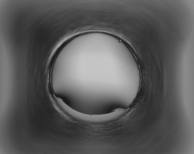 X0000083001511200703020854