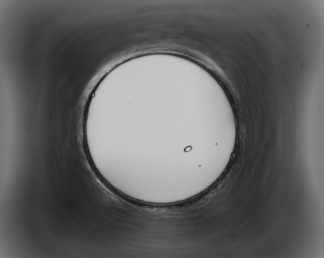 X0000083001512200703020854