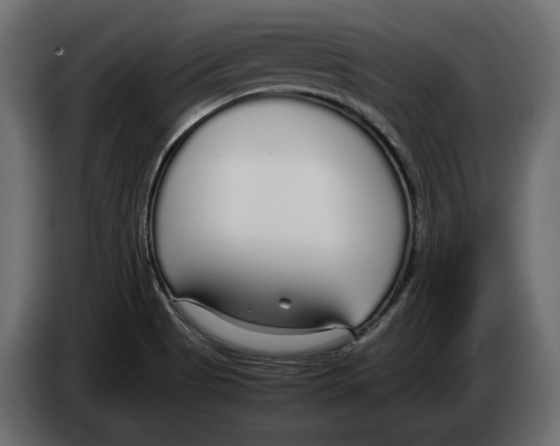 X0000083001513200703020854