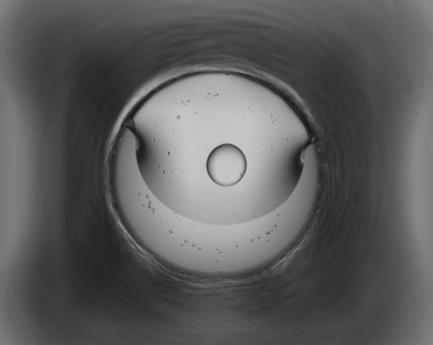 X0000083001514200703020854