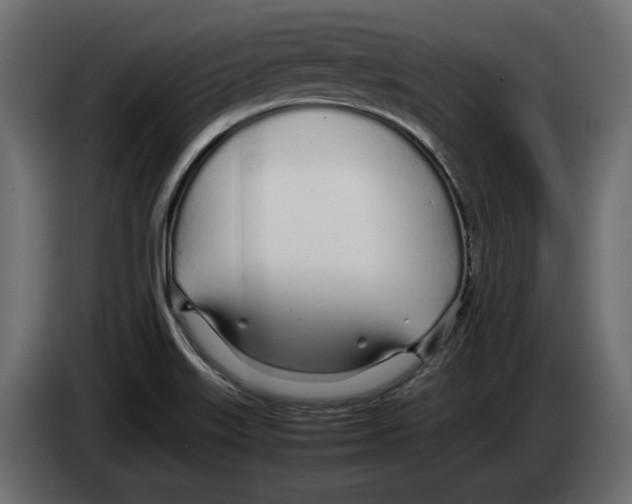 X0000083001515200703020854