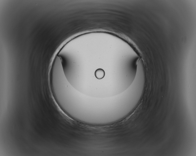 X0000083001516200703020854