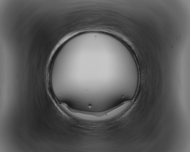 X0000083001517200703020854