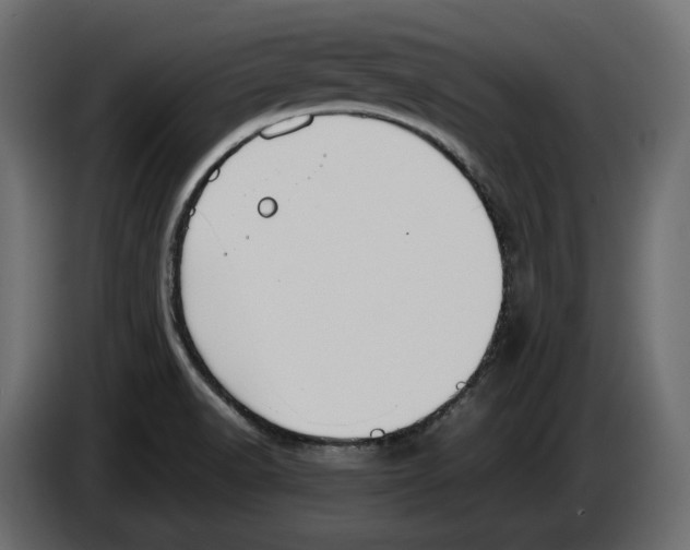 X0000083001518200703020854