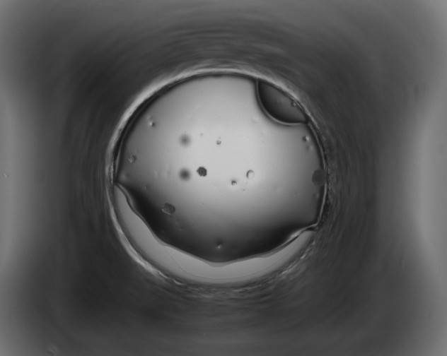 X0000083001519200703020854