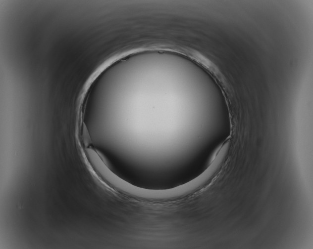 X0000083001520200703020854