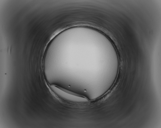 X0000083001521200703020854