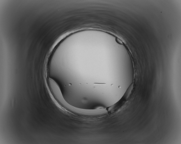 X0000083001523200703020854