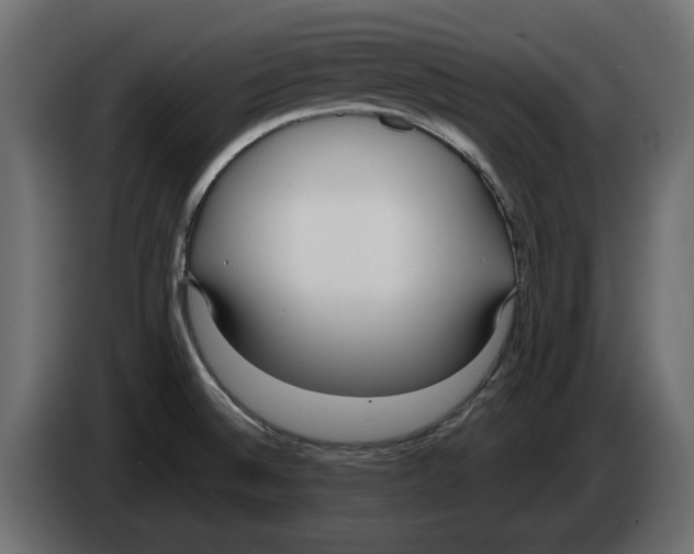 X0000083001524200703020854