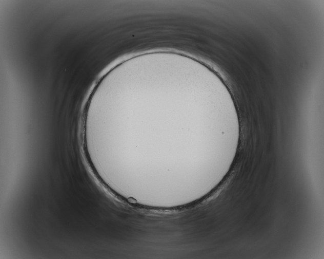 X0000083001526200703020854