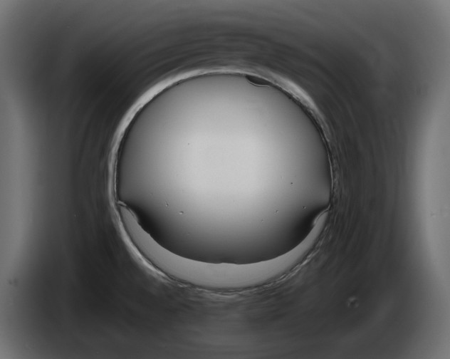 X0000083001528200703020854