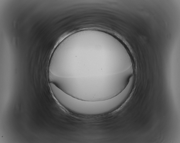 X0000083001529200703020854