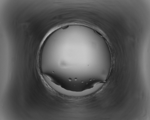 X0000083001530200703020854