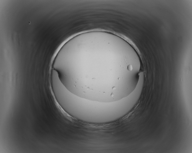 X0000083001532200703020854