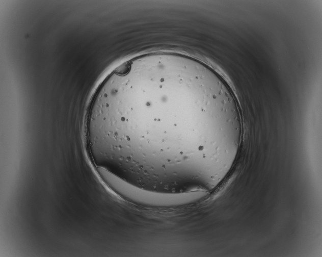 X0000083001533200703020854