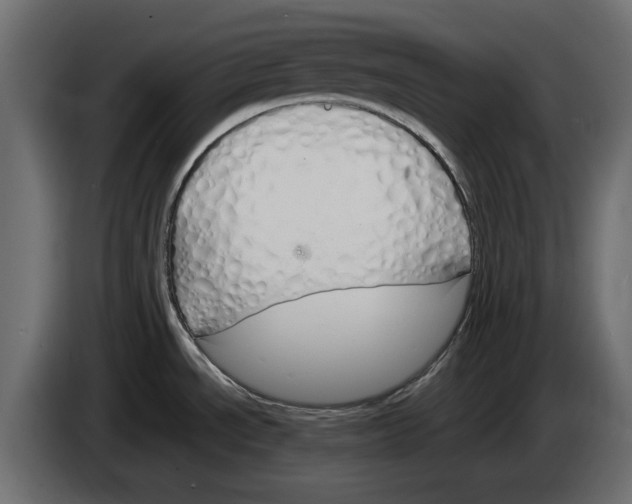 X0000083001534200703020854