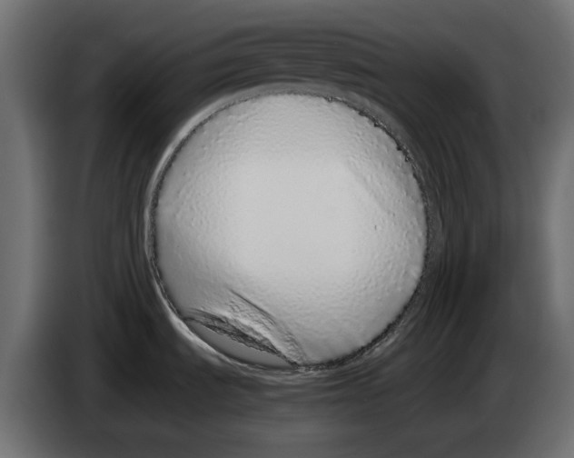 X0000083001535200703020854