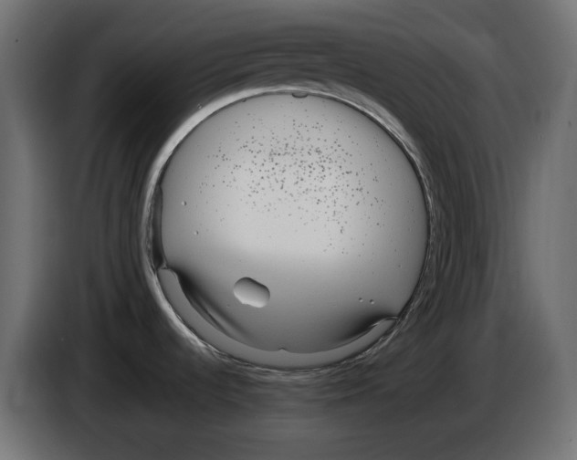 X0000083001536200703020854