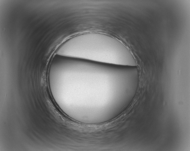 X0000083010002200702020927