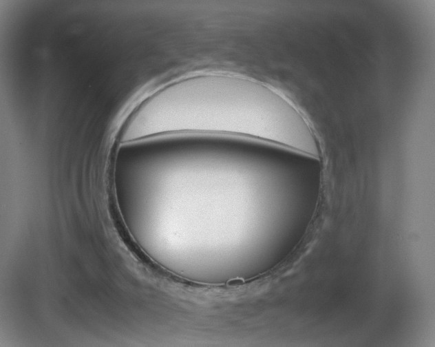 X0000083010007200702020927