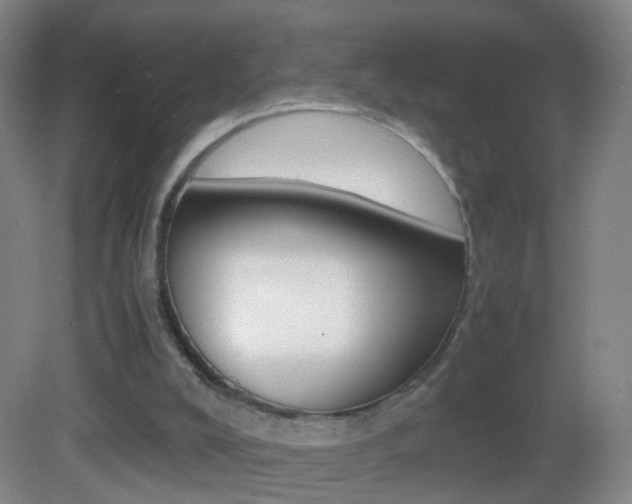 X0000083010008200702020927