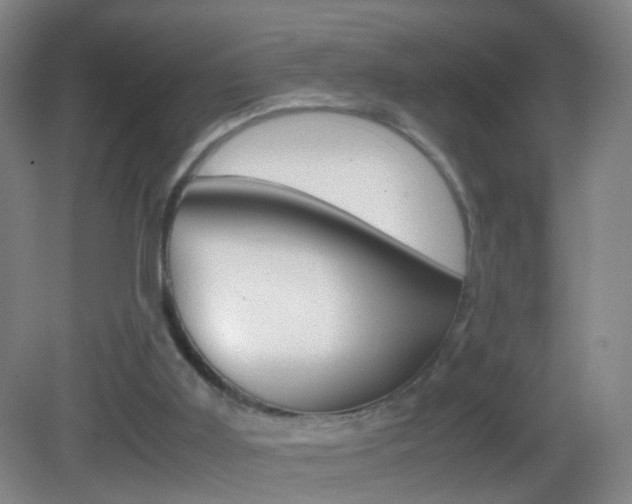 X0000083010011200702020927