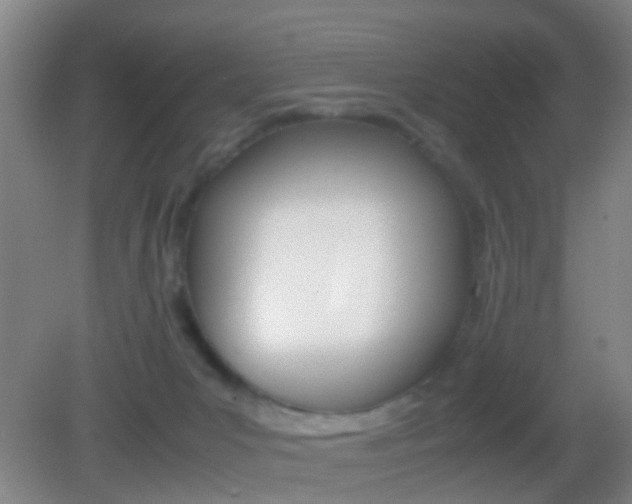 X0000083010031200702020927