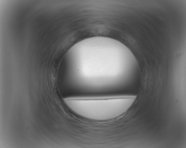 X0000083010040200702020927