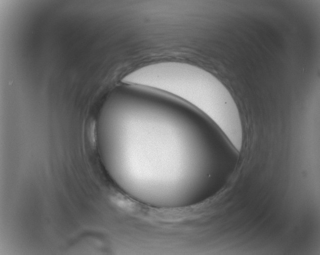 X0000083010041200702020927