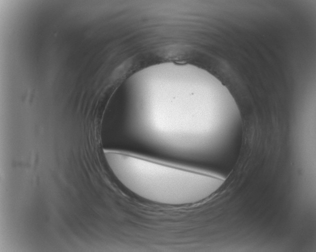 X0000083010044200702020927