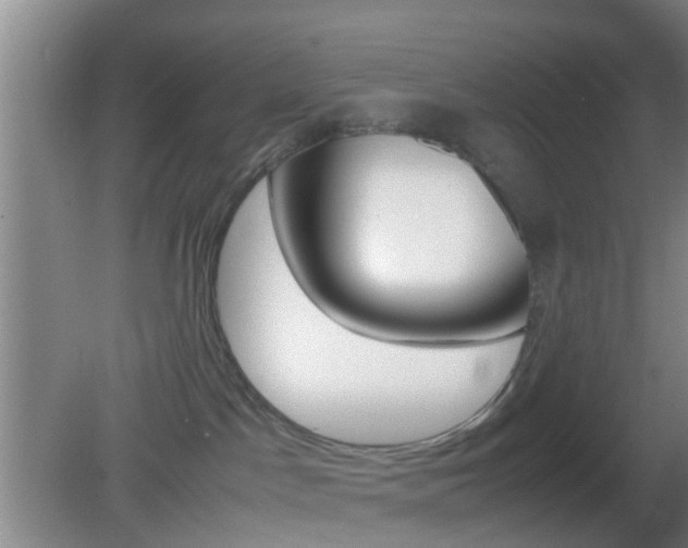 X0000083010045200702020927