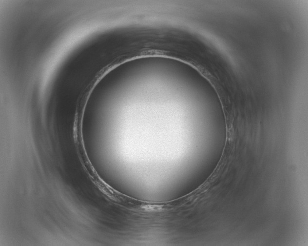 X0000083010052200702020926