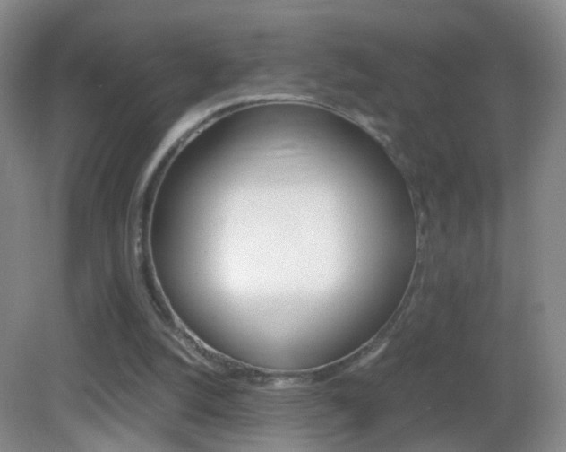 X0000083010056200702020926