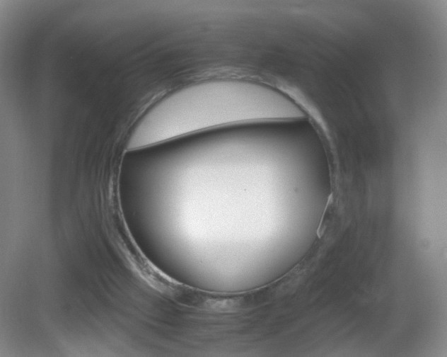 X0000083010057200702020926