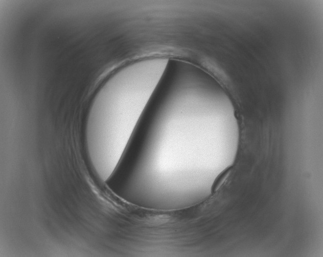 X0000083010058200702020926