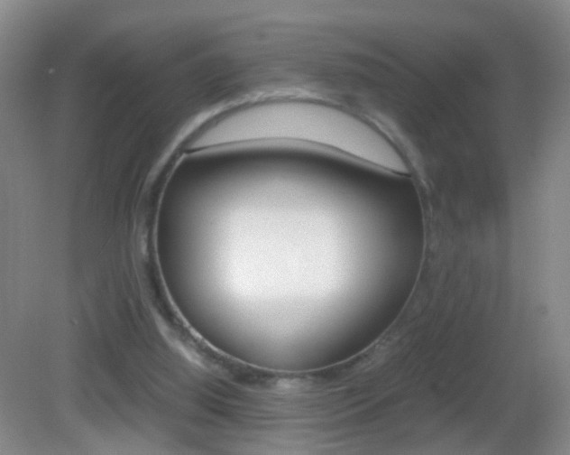 X0000083010060200702020926