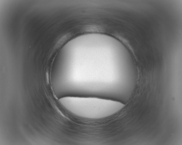 X0000083010061200702020926